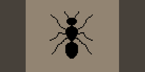 Cover image for Ants