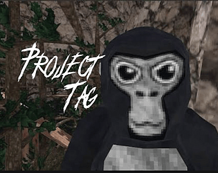 Project Tag game screenshot