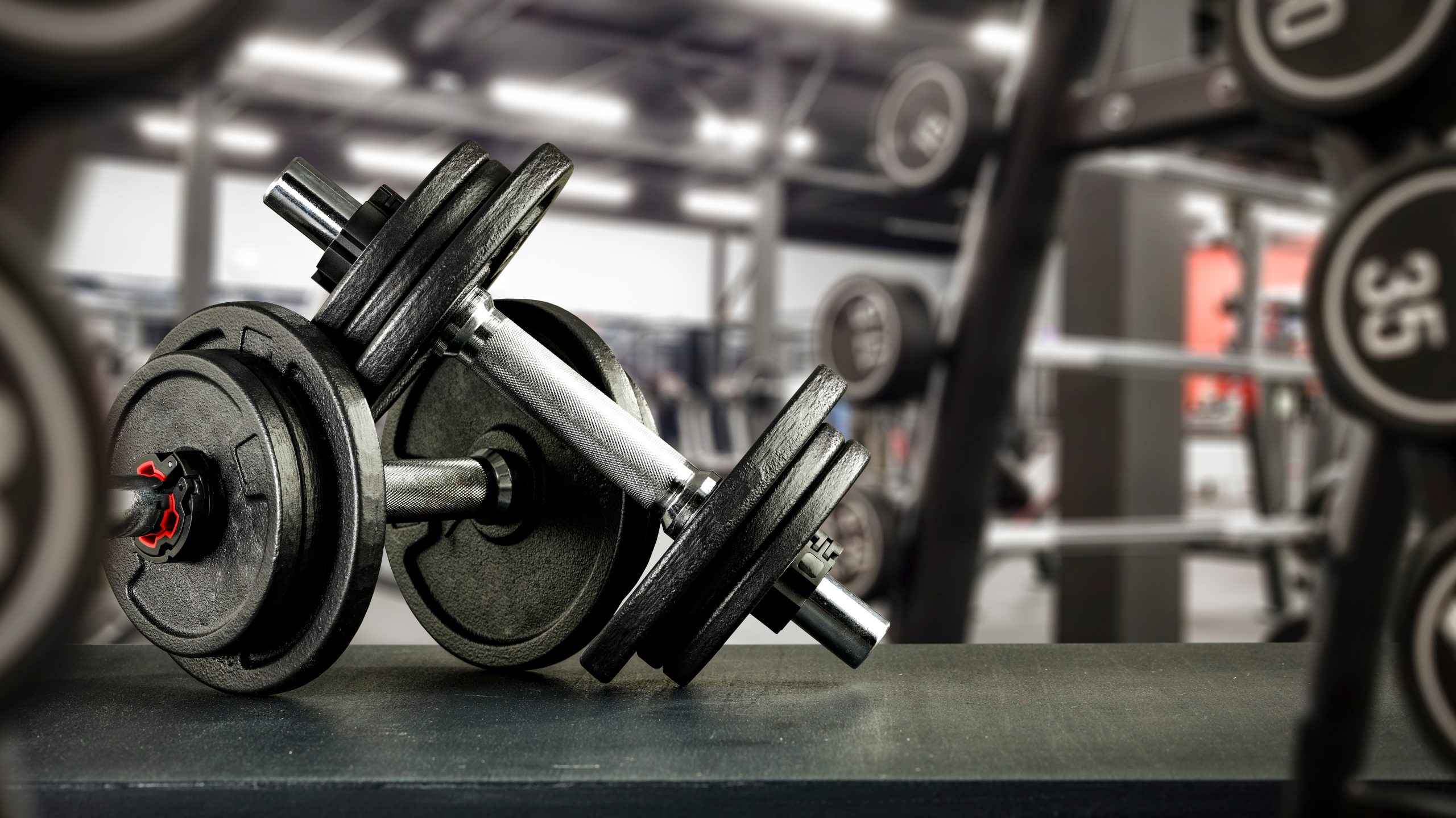 Fitness Training Gaming Simulator by Betty2046