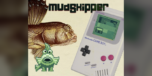 Cover image for mudSkipper