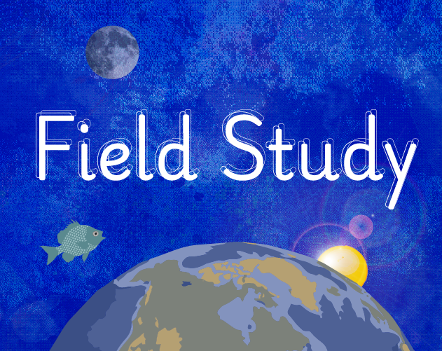 Cover image for Field Study