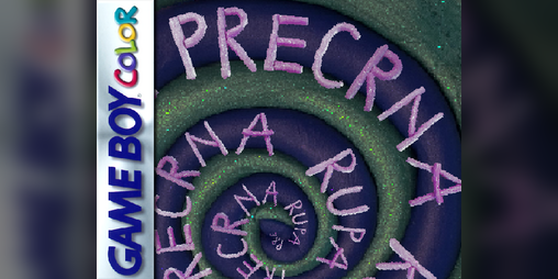Cover image for Precrna Rupa
