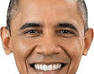 obama game screenshot