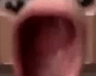 unendering(fight/flight)