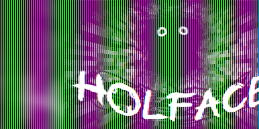 Cover image for HOLFACE