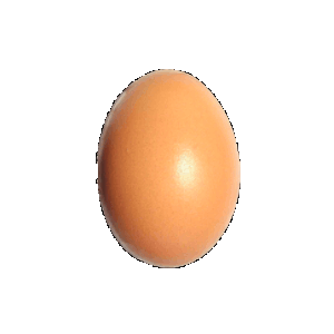 Cover image for fuck my egg life