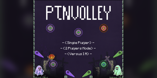 Cover image for Pinvolley