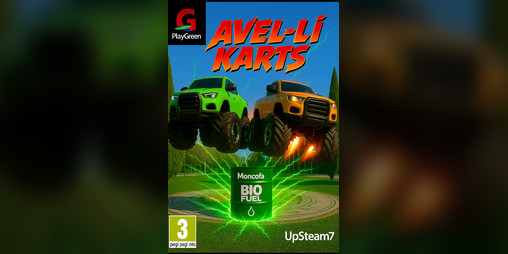 Cover image for AVEL*LÍ KARTS