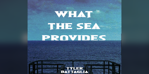 Cover image for What the Sea Provides