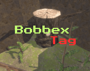 BobbexTag