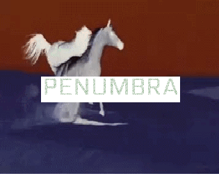 Cover image for Penumbra