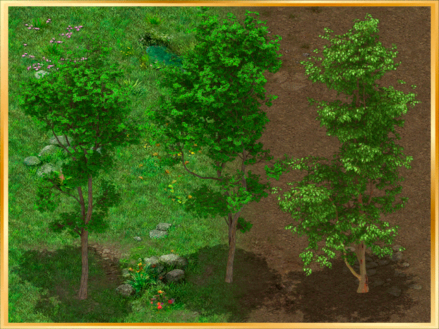 Transformation Geometry Animation Examples Tree FREE Animated Isometric Trees by Engvee