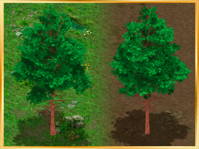 Transformation Geometry Animation Examples Tree FREE Animated Isometric Trees by Engvee