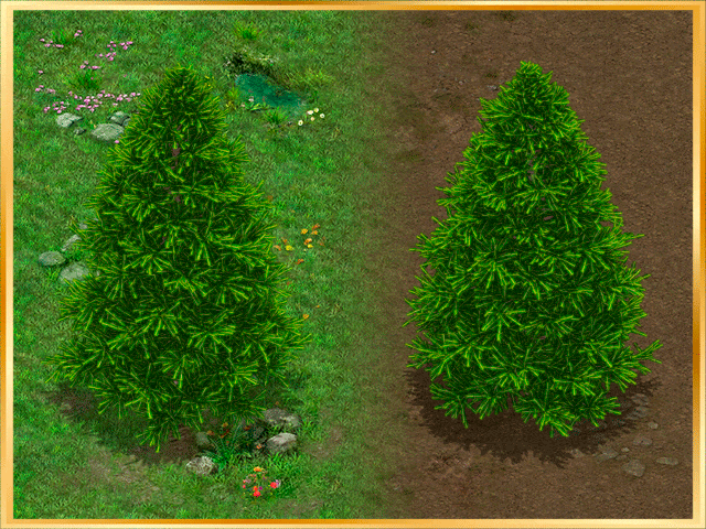 Transformation Geometry Animation Examples Tree FREE Animated Isometric Trees by Engvee