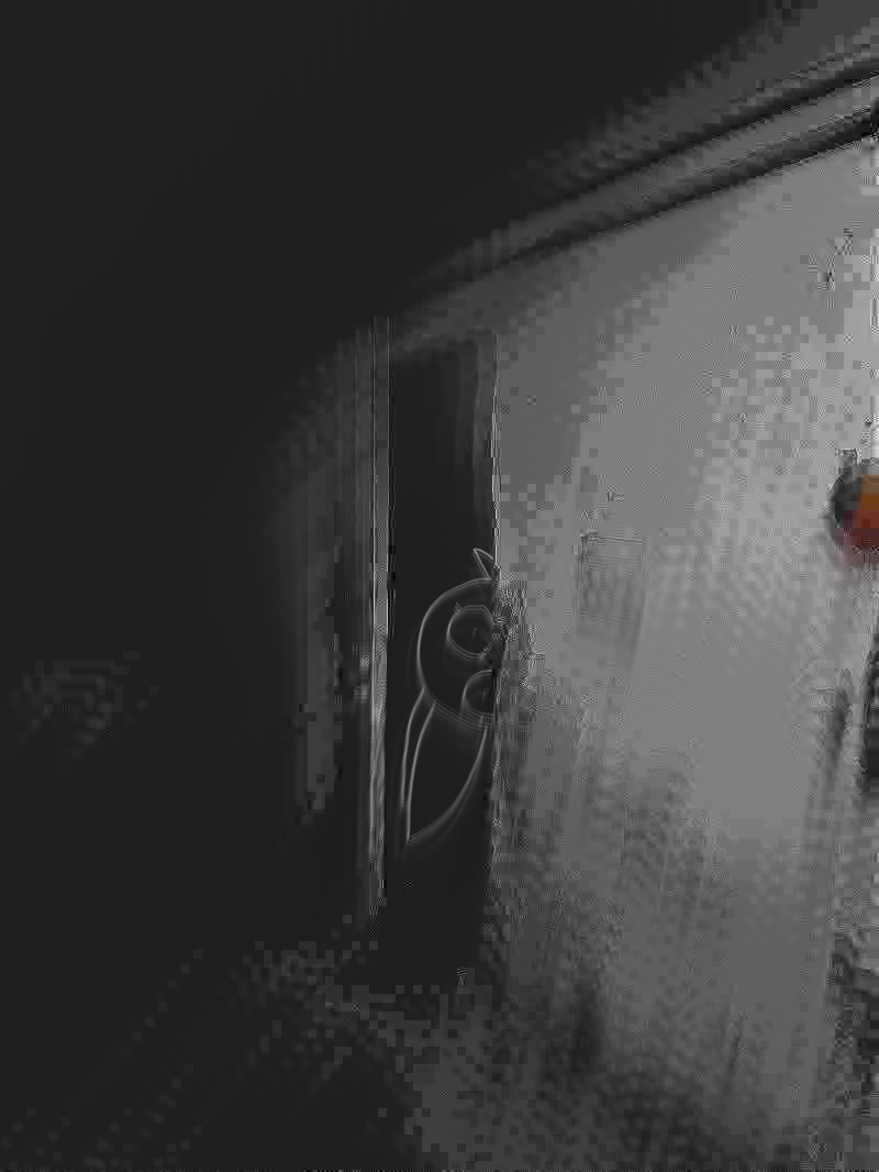 Cover image for A Bouquet Of Viscera (DEMO)