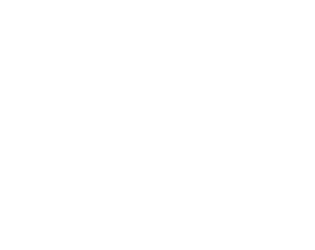 DVD PONG