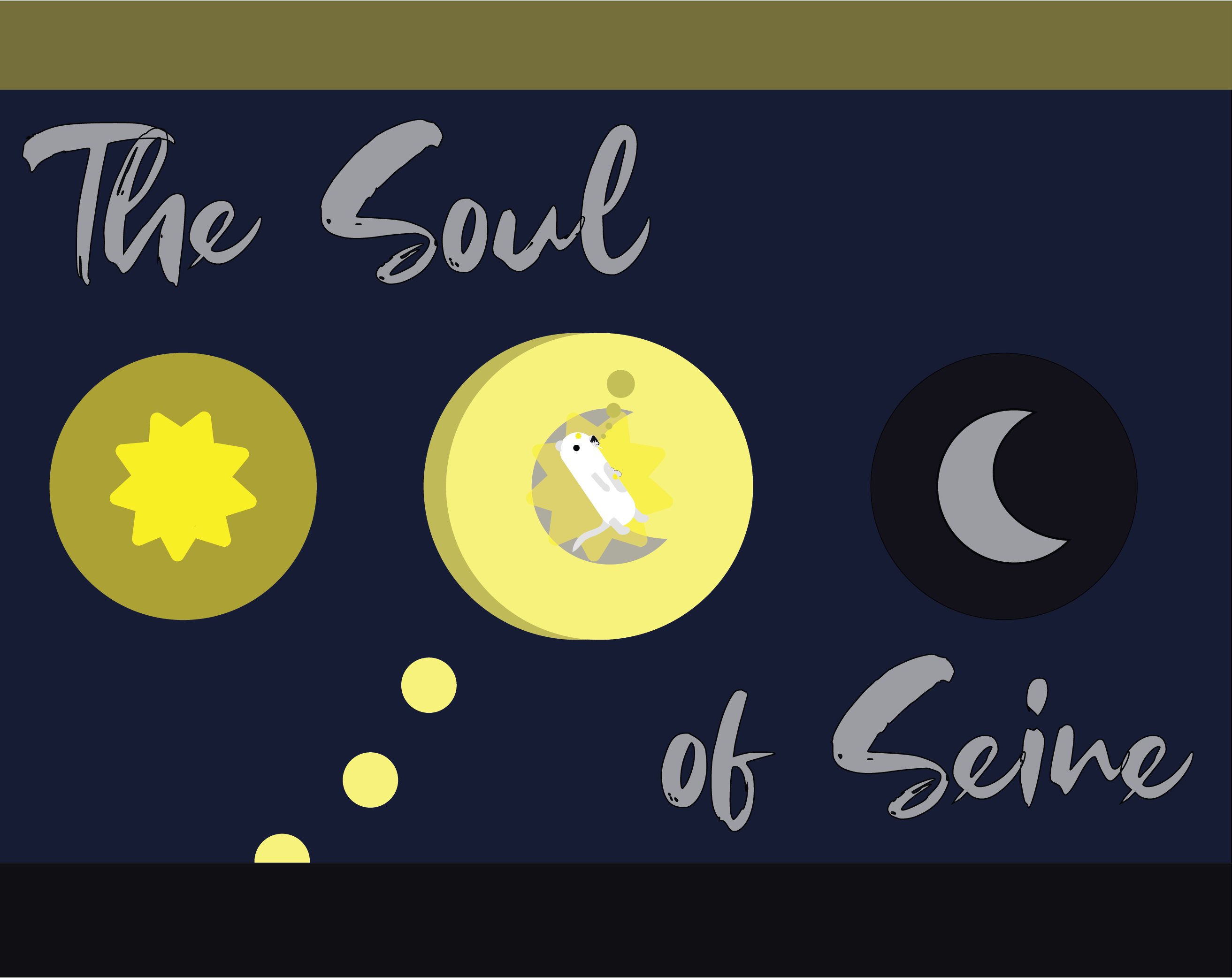 Cover image for The Soul of Seine