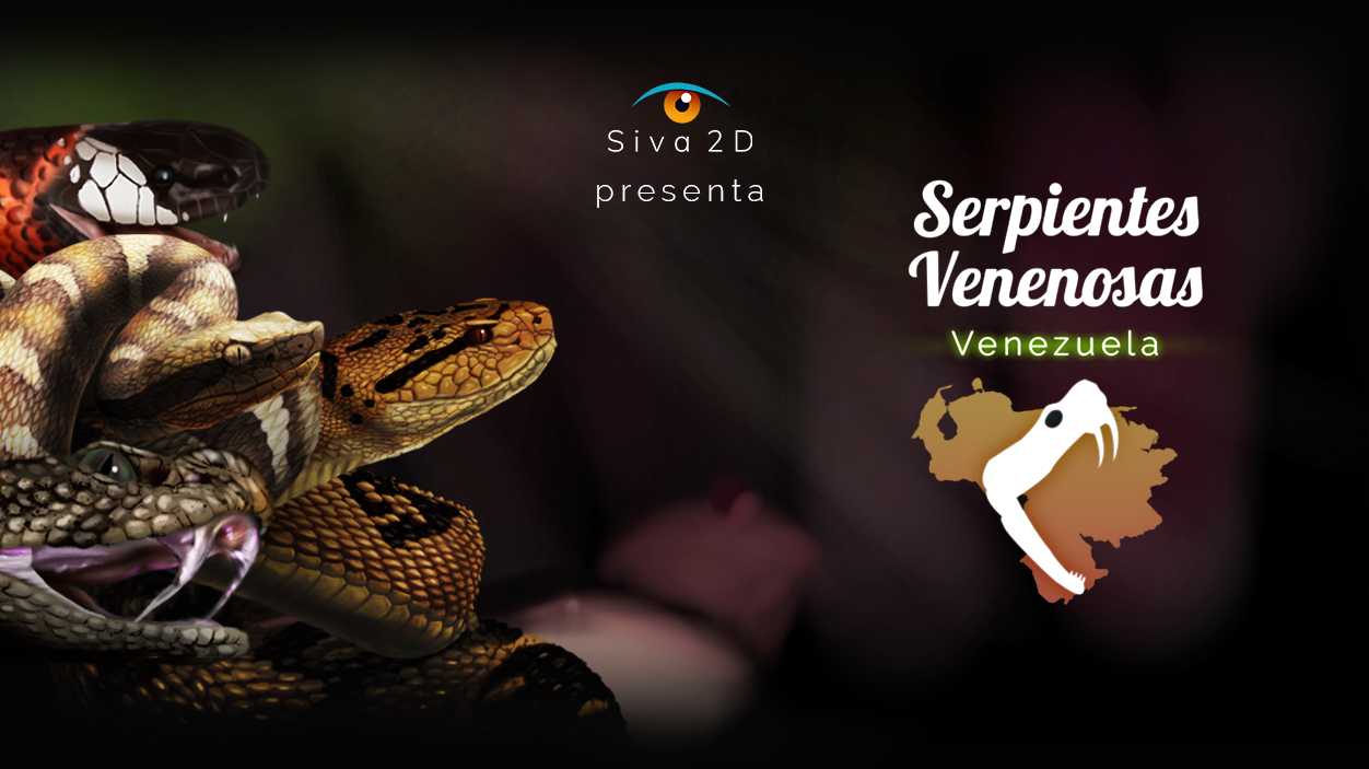 Serpientes Venenosas Venezuela/Venomous Snakes Venezuela