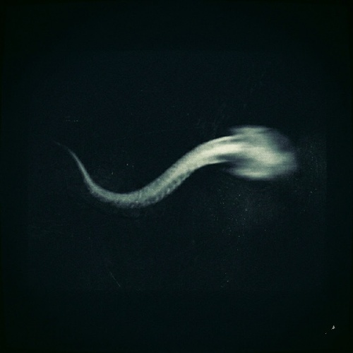 Cover image for THE VOID JANITOR