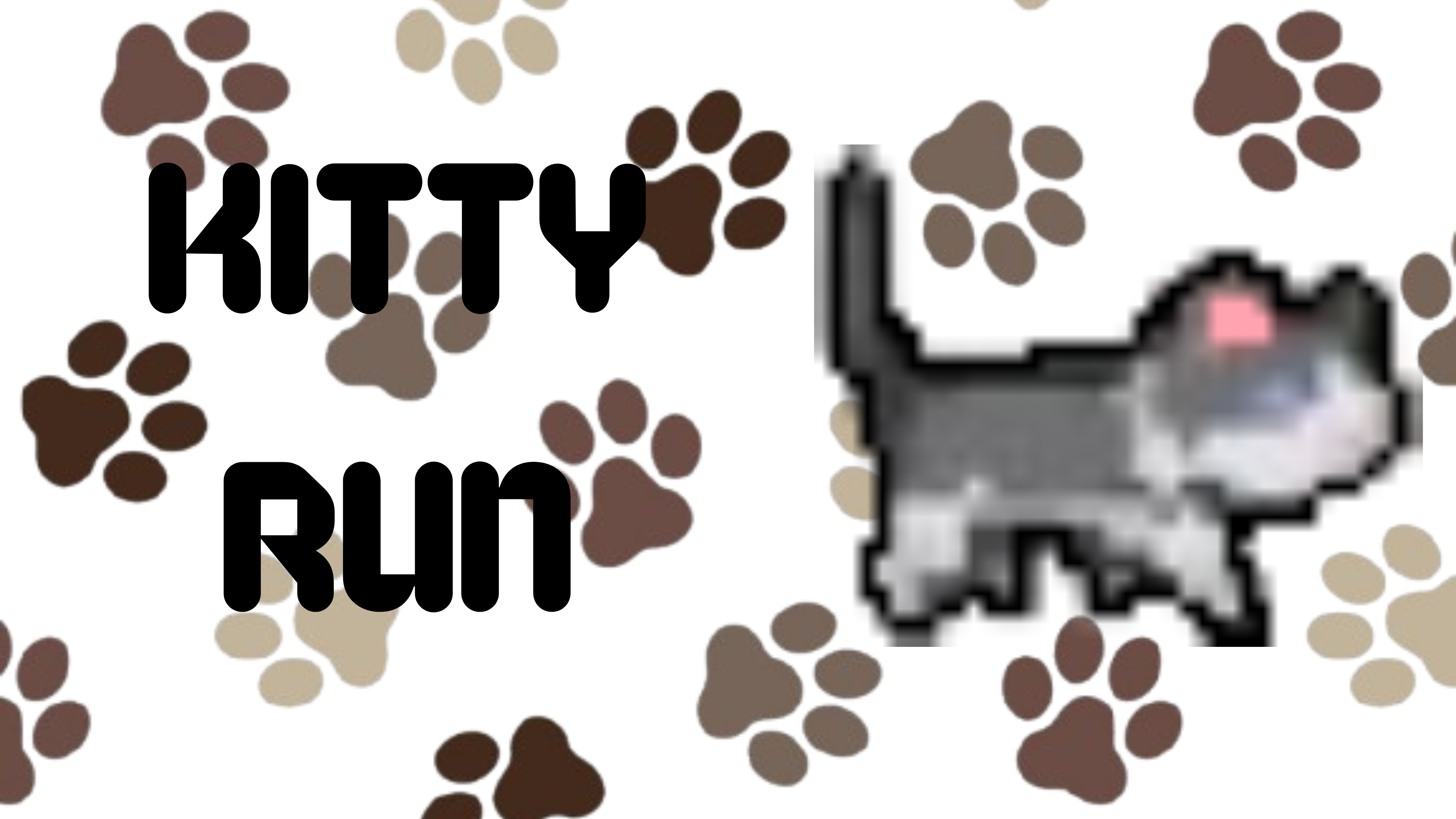 Kitty Run