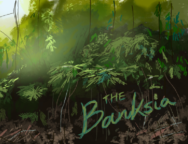 Cover image for The Banksia