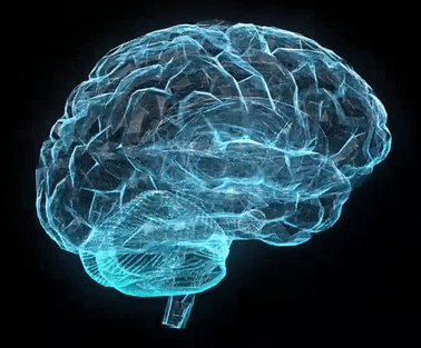 Cover image for NeuRun