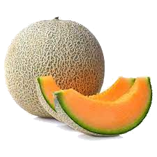 cantaloupe