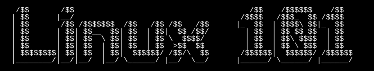 Linux 101: A Guide to Taming the Penguin