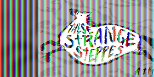 Cover image for These Strange Steppes