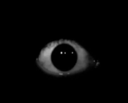 Cover image for Scopophobia