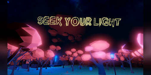 Cover image for Seek Your Light