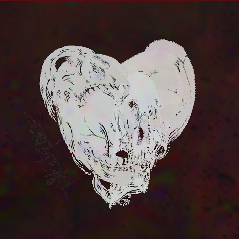 red dried white petrified heart