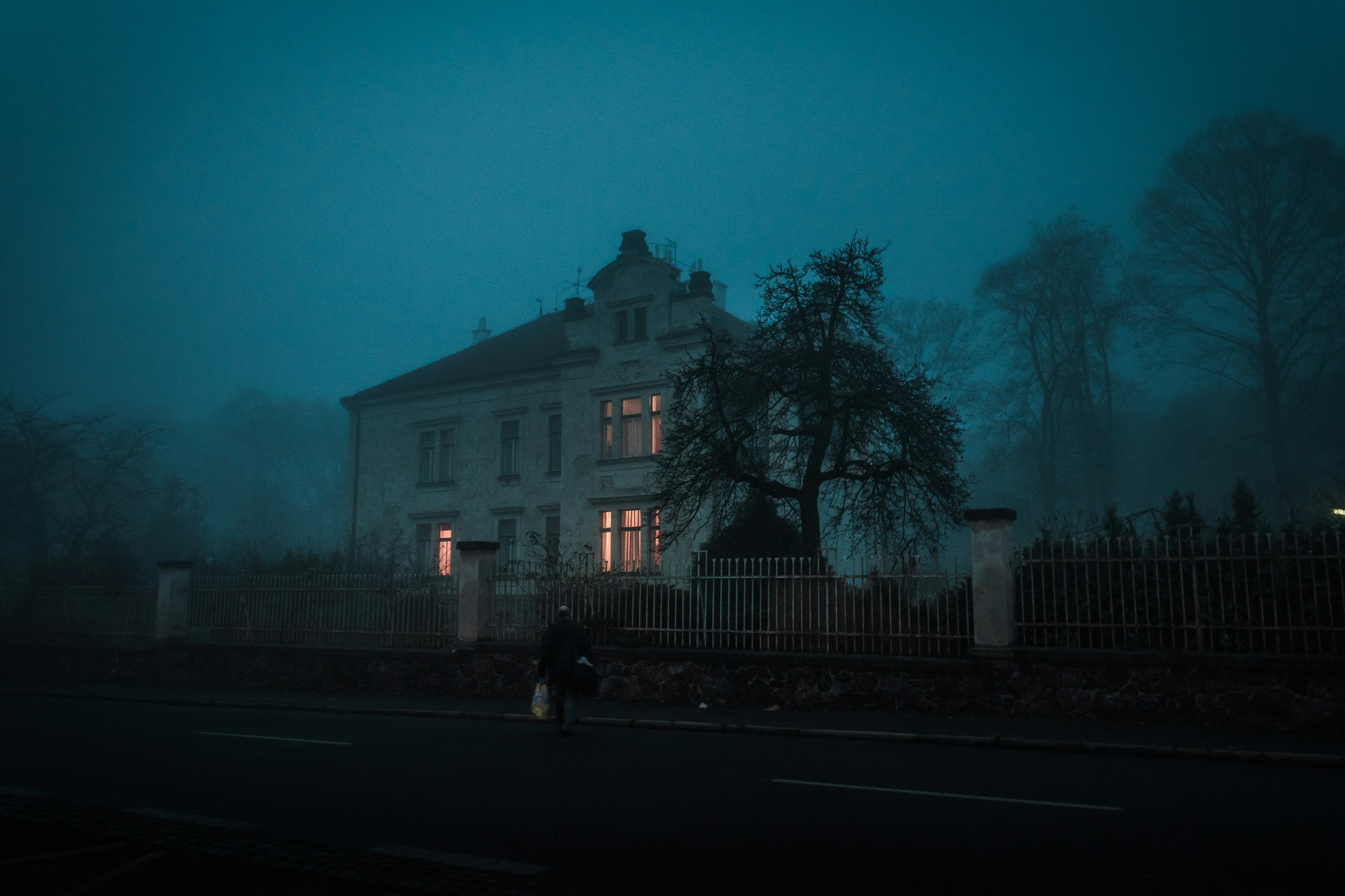 Cover image for Shadows of Fortune