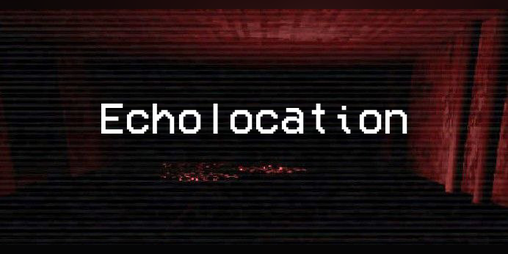Cover image for Echolocation