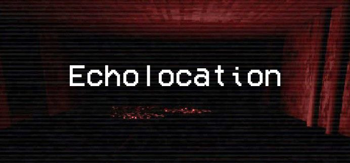 Cover image for Echolocation