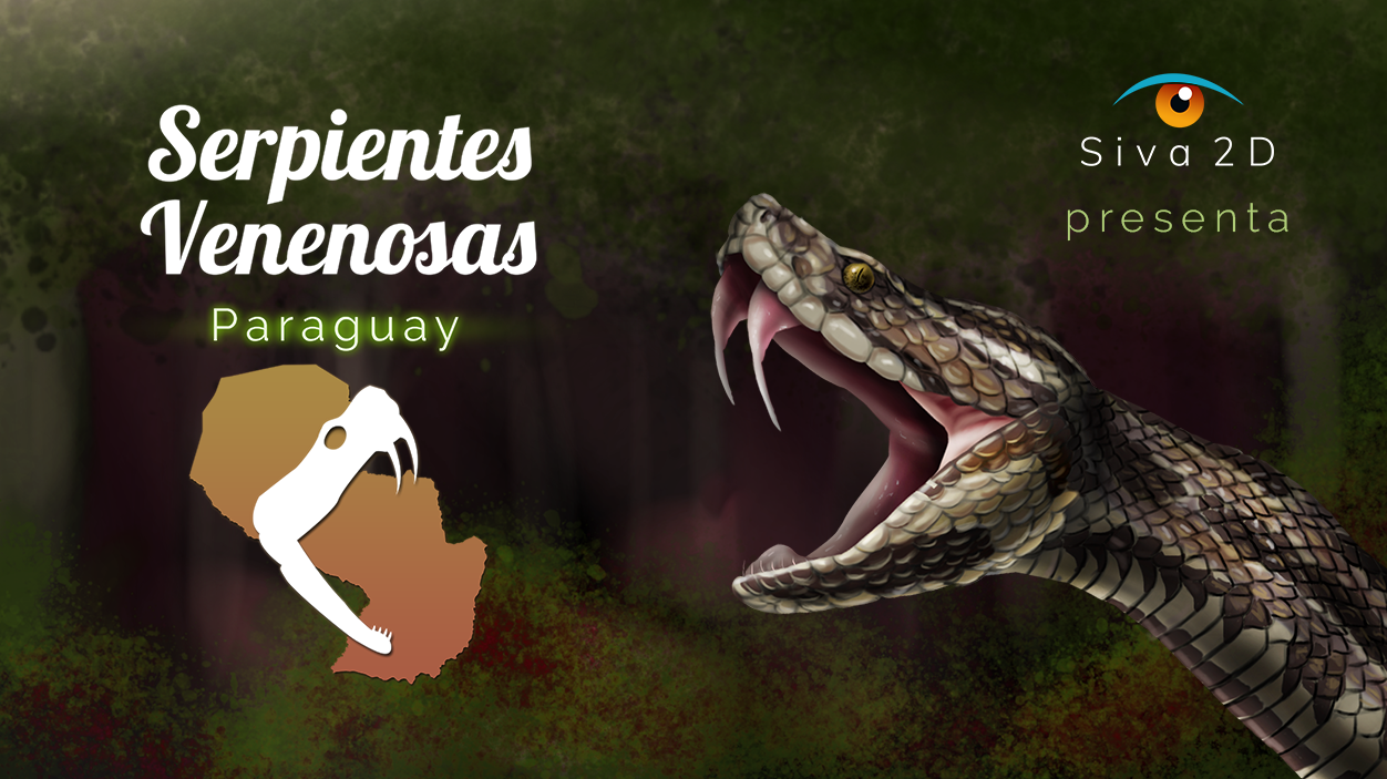 Serpientes Venenosas Paraguay/Venomous Snakes Paraguay