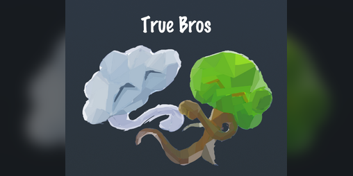 Cover image for True Bros