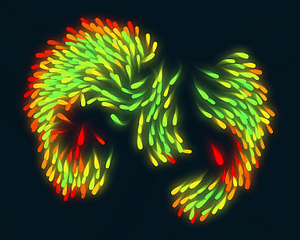 Simulation banc de poissons - boids cover