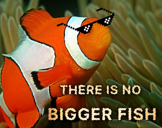 Cover image for There is no bigger fish