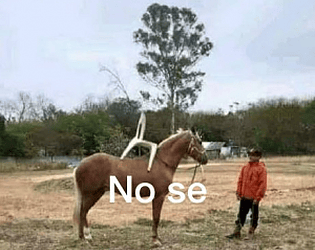 Juego Practica 13