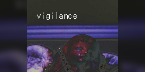 Cover image for vigilance