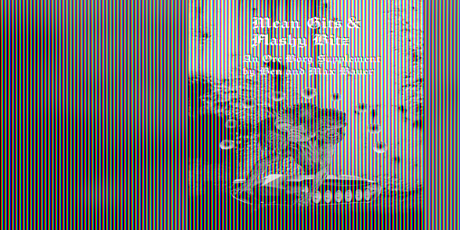 Cover image for Mean Gits & Flashy Bitz