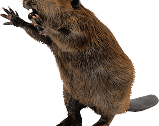 Guayasen Clicker
