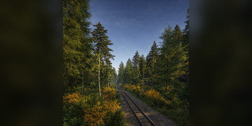Cover image for Back Roads County Forestry Edition 4x