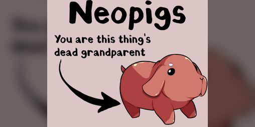 Cover image for Neopigs