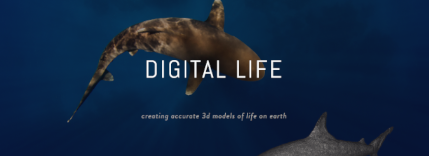 Digital Life 3D