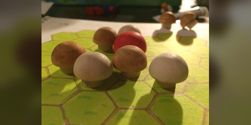 Cover image for Shroompatch