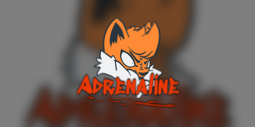 Cover image for Adrenaline