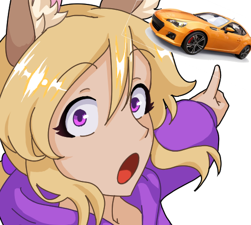 Car Caster