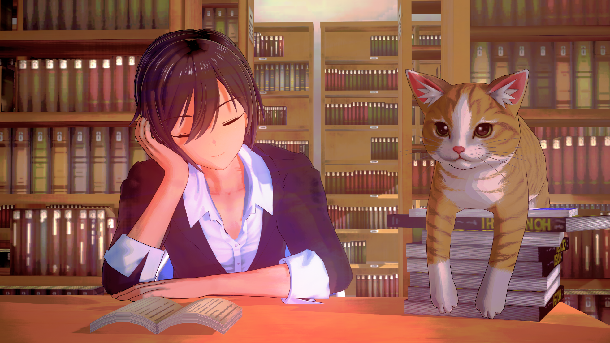 Cover image for Dusk After Class
